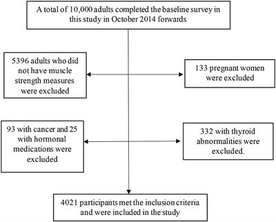 Association of Obesity, Sarcopenia, and Sarcopenic Obesity With Hypertension in Adults: A Cross-Sectional Study From Ravansar, Iran During 2014–2017